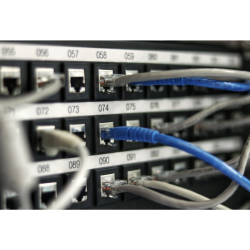 Network Components & Wireless Connectives